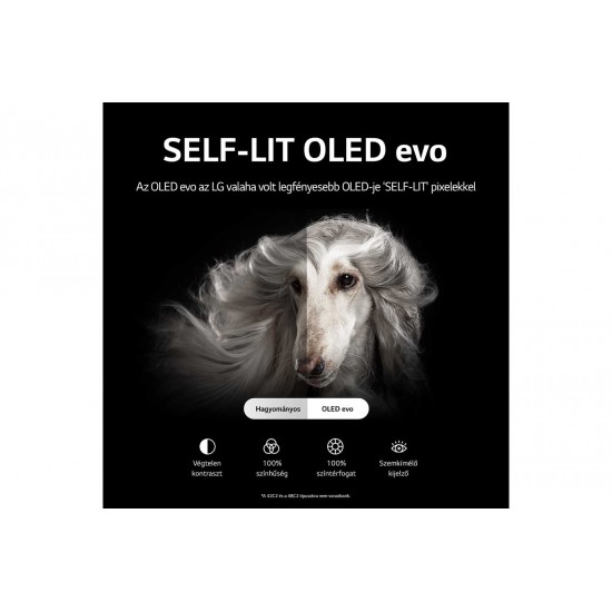 LG OLED77C21LA evo C2 77" 4K Smart Tv