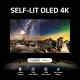 LG OLED55CS3VA 55" OLED evo 4K SMART TV LG OLED55CS3VA 55" OLED evo 4K SMART TV